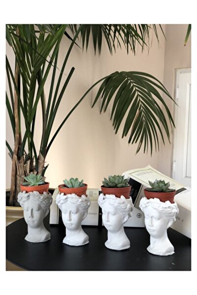 Big Craft Helen Beton Saksı 4'lü Set Skulentlik,kaktüslük