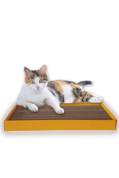 PAWAWAY Cat Scratching Wavy Corrugated Cardboard Boxed 24 Cm X 48 Cm