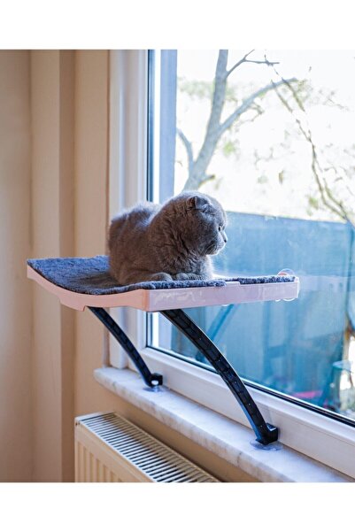 ATA HOME Yeni Model Cam Ve Duvar Için Kedi Yatağı Vantuzlu Kedi Terası