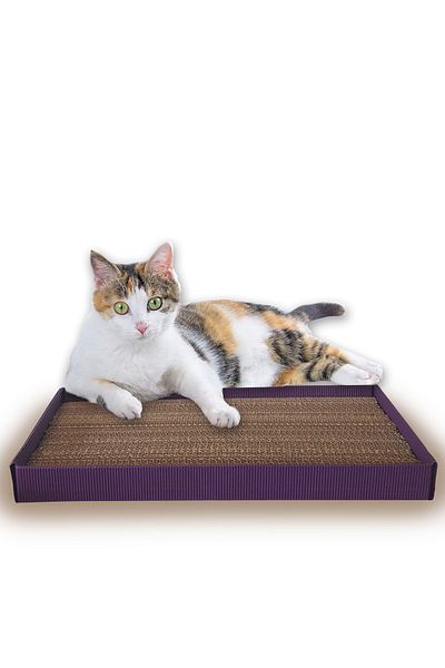 PAWAWAY Cat Scratching Wavy Corrugated Cardboard Boxed 24 Cm X 48 Cm
