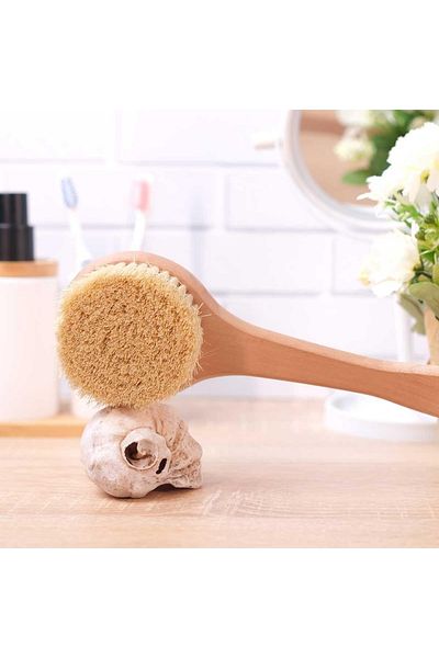 Genshower Sf2111 - Wood Handle Standard Back Brush