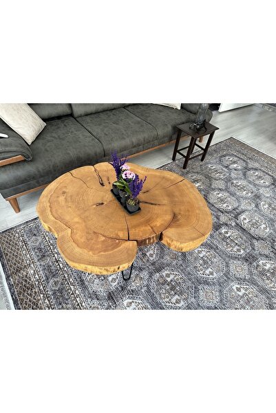 Shopkutuk Doğal Ahşap Kütük Orta Sehpa
