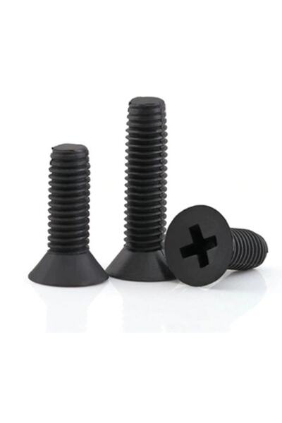 labshop41 M3 X 15mm Düz Başlı Plastik Civata Vida Siyah X 5 Adet (rf008)