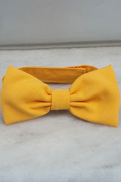 Peti Tailor Petitailor Cat-dog Bow Tie