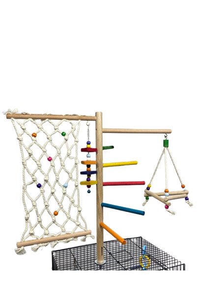ADAPATİ PET Sultan, paradise,sevda and Forpus Parrot, Cage Top Parkour with Budgie Toy