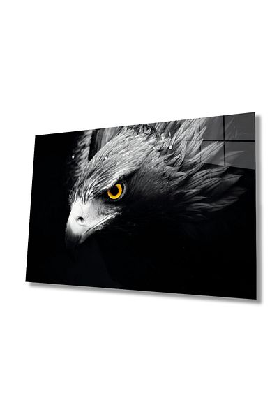 Rosyvien Eagle Portrait Wild Nature Landscape Glass Painting, Home and Office Wall Decor, Gift, Tempered Glass
