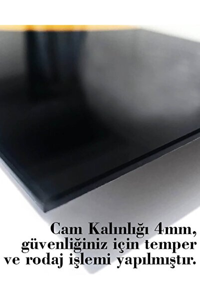 Rosyvien At Portresi Vahşi Doğa Manzarası Cam Tablo, Ev Ve Ofis Duvar Dekoru, Hediyelik, Temperli Cam