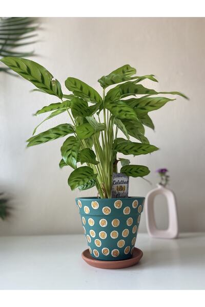 Nova Elite Dekoratif Konik Çömlek Toprak El Emeği Saksı Çiçeklik