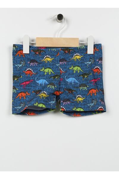 SLIPSTOP Çok Renkli Erkek Şort Mayo Sr2331000005