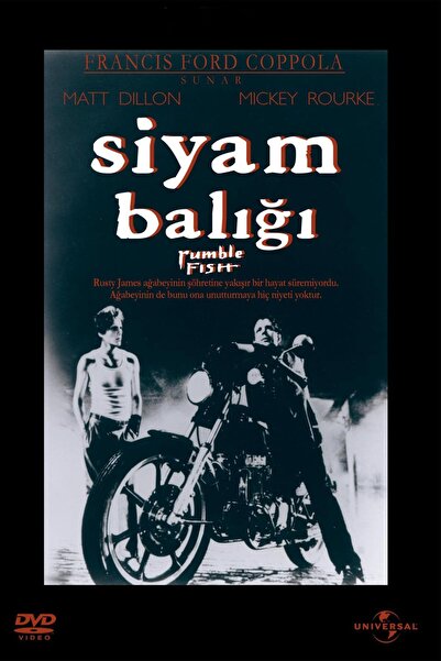 Pal Siyam Balığı Rumble Fish Dvd