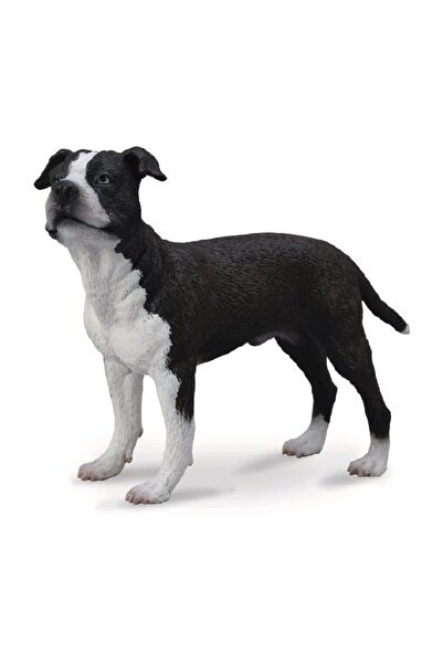 Collecta American Staffordshire Teriyeri