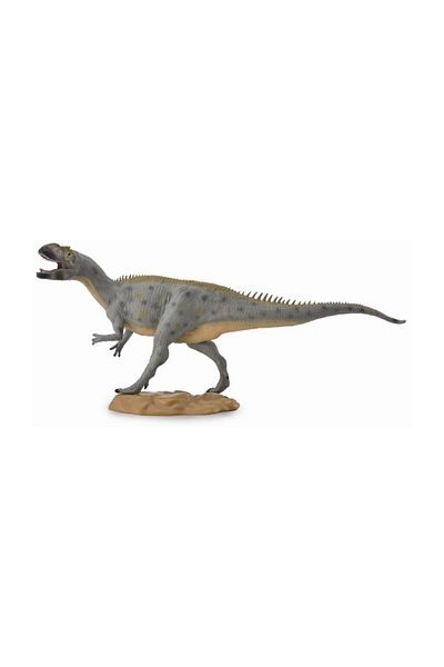 Collecta ميترياكانثوصور