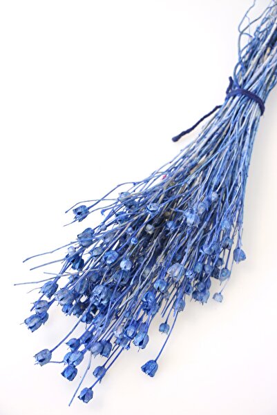 Yapay Çiçek Deposu Buchet de plante uscate Nigella, albastru