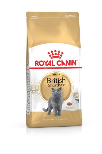 Royal Canin Yetişkin British Shorthair Tavuklu Kedi Maması 400 gr (original)