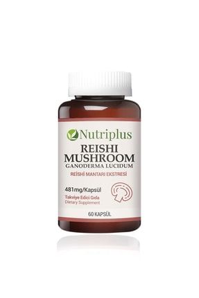 Farmasi Nutriplus Reishi Mantari Ekstresi 60 Kapsul 8690131410780 Fiyati Yorumlari Trendyol