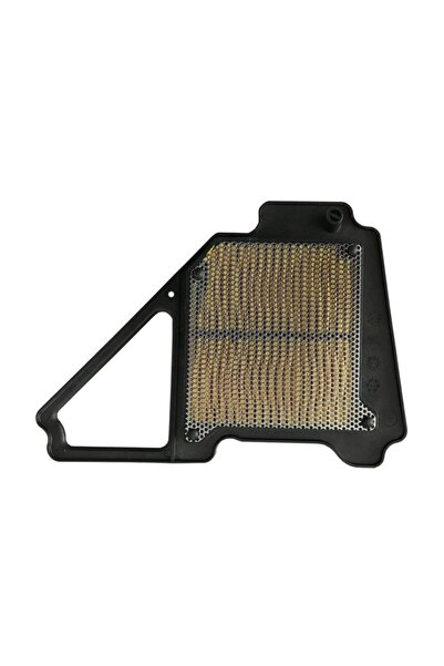 Yamaha Ybr 125 (2004-2017) Hava Filtresi