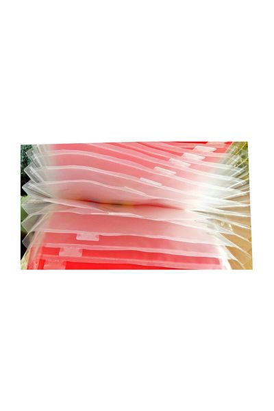 Vtk Gusseted Pink Project File -dos32
