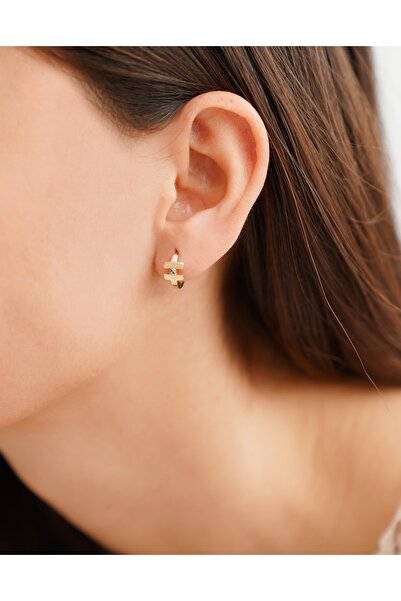 Arpaş Taşlı Mini Halka Altın Küpe