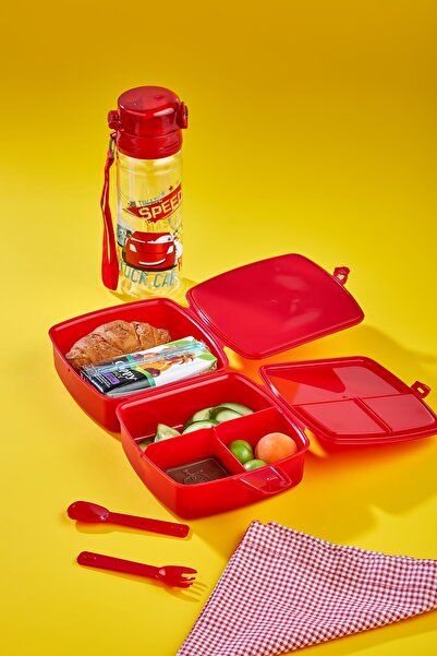 ALİNA HOME 4-Compartment 2-Layer Lunch Box with Self Spoon and 500 Cc Straw F...