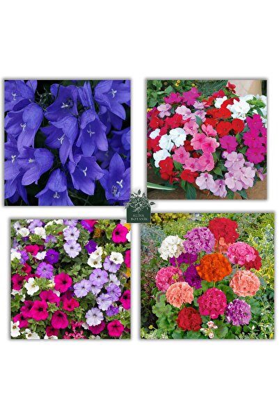 bfalina botanik Yaz Çiçeği Tohum Paketi Seti (50 ADET TOHUM KADEH ÇAN ÇİÇEĞİ,...