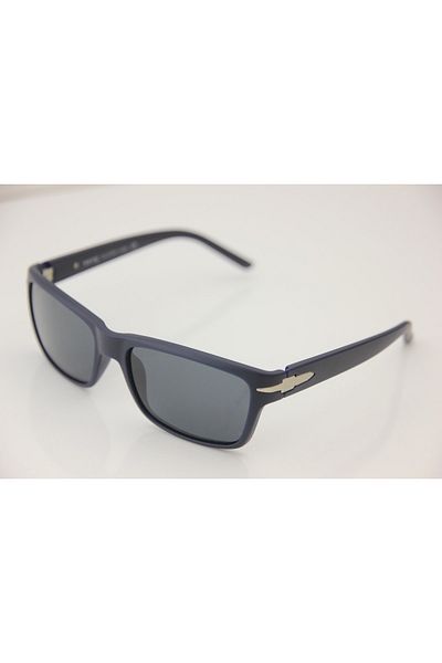 Swing Ss173 C255m Polarized Sunglasses