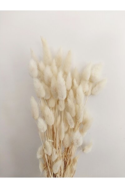 Minkyflowers Krem Pamuk Otu