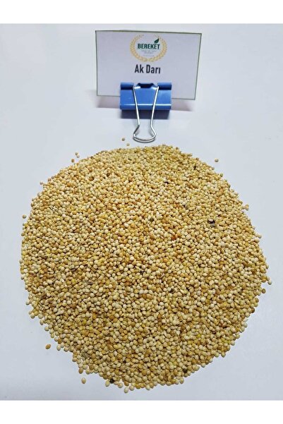 Bereketlimama Ak Darı- Muhabbet Kuşu Yemi- 10 Kilogram