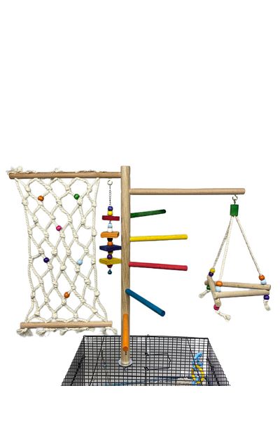 ADAPATİ PET Sultan, paradise,sevda and Forpus Parrot, Cage Top Parkour with Budgie Toy