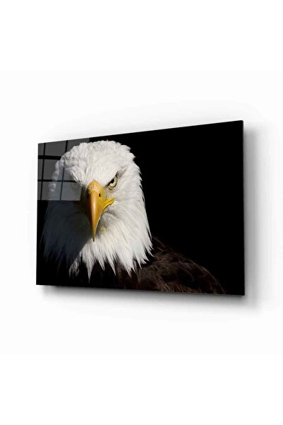 Rosyvien Εικόνα αετού Wild Nature Landscape Γυάλινη ζωγραφική, Διακόσμηση τοί...