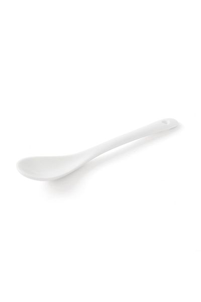 Benante 6-Piece Porcelain Spoon