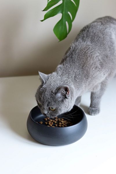Beige & Stone Slow Eat Black Ceramic Food Bowl (S)