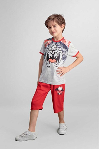 Looney Tunes Ліцензований комплект капрі для хлопчиків Tazmanya Open Grey
