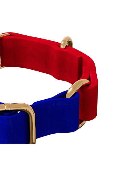 GoPawGo Charmlı Sirius Köpek Boyun Tasması Ve Gezdirme Kayış Seti