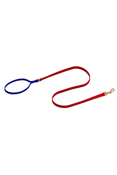 GoPawGo Charmlı Sirius Köpek Boyun Tasması Ve Gezdirme Kayış Seti