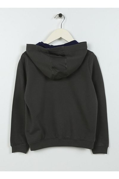 U.S. Polo Assn. Printed Boy Gray Sweatshirt Amatafıy023