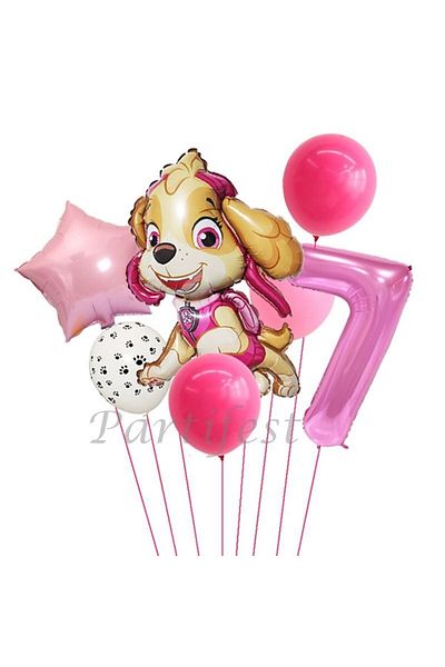 Parti Station Paw Petrol Foil Set Paw Patrol Skye 7 Year Old Balloon Set Concept Birthday Set Age Balloon Set