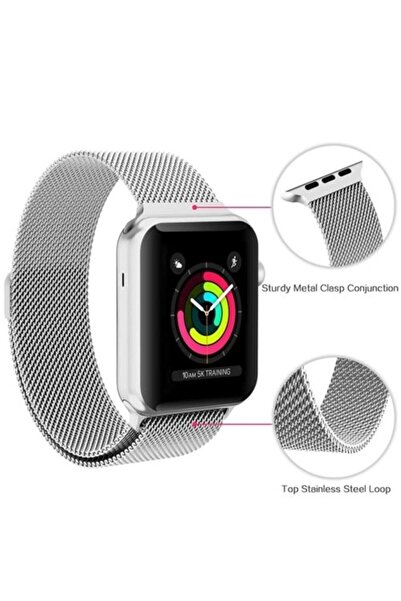 HESCOM Apple Watch 42mm 44mm Çelik Mıknatıslı Kordon-gümüş Renk