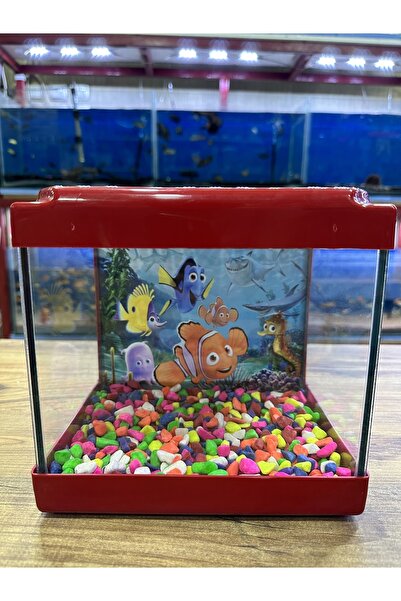 ErtargınShop Kırmızı Renkli Kare Mini Akvaryum 20x20x15