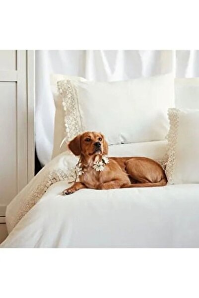 İssimo Home Daisy Yıkanmış %100 Pamuk Poplin Vanilya Çift Kişilik Nevresim Ta...