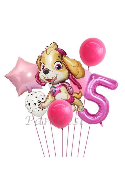 Parti Station Paw Petrol Foil Set Paw Patrol Skye 5 Year Old Balloon Set Concept Birthday Set Age Balloon Set