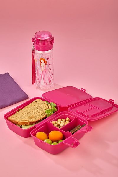 ALİNA HOME 4 Compartments 2 Tiers Lunch Box with Spoon and 500 cc Straw Flask Princess