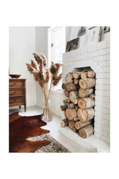 CAN Kuru Çiçek Pampas 10 Adet 100 Cm