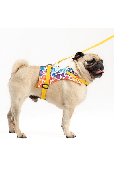 Patipatron Anti-Escape Adjustable Small Breed Dog Chest Collar Set and Walking Rope