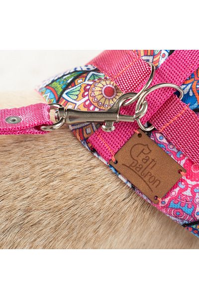 Patipatron Anti-Escape Adjustable Small Breed Dog Chest Collar Set and Walking Rope