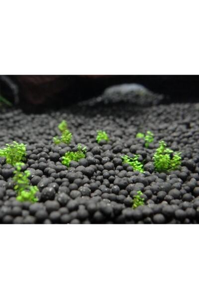 Badem Akvaryum İthal Akvaryum Bitki Kumu Gübre Katkılı Yuvarlak Kum Siyah 1 kg