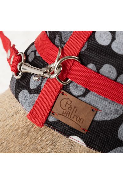 Patipatron Anti-Escape Adjustable Small Breed Dog Chest Collar Set and Walking Rope