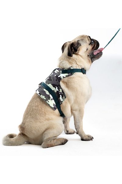 Patipatron Anti-Escape Adjustable Small Breed Dog Chest Collar Set and Walking Rope