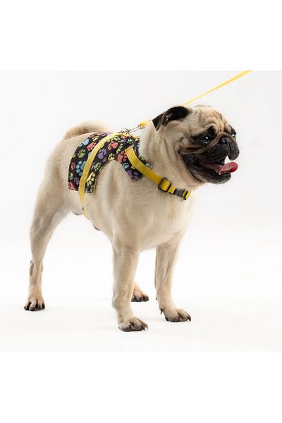 Patipatron Anti-Escape Adjustable Small Breed Dog Chest Collar Set and Walking Rope