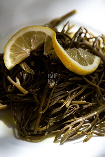 EGEYE DÖNÜŞ Kaya Koruğu Konserve - (meze Ve Salata Için Yemeğe Hazır Kaya Yosunu Ege Otları Kavanoz) - 400 Gr.