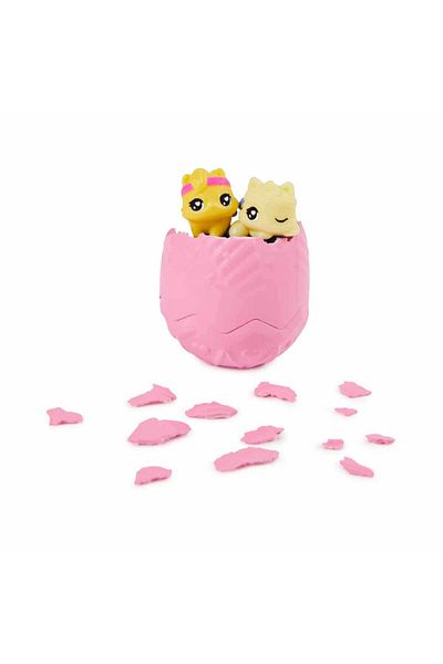 Hatchimals Rainbow Cation Hatchy Surprise Package